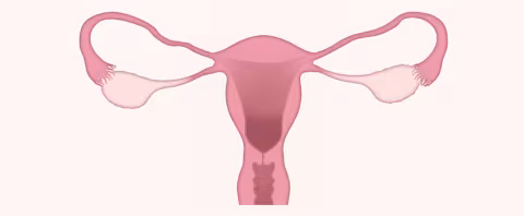 Isterosonografia registrata video 