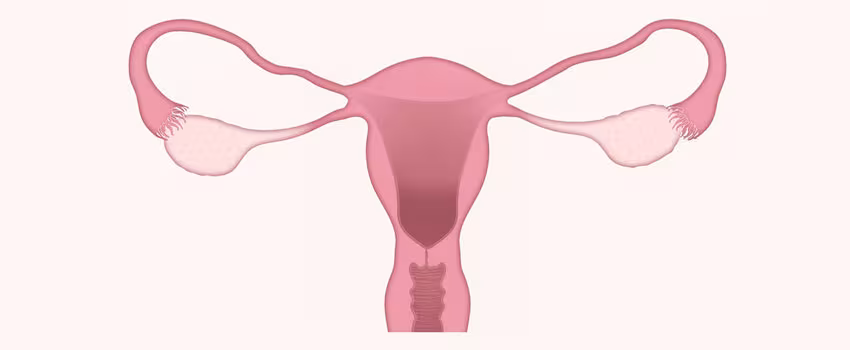 Isterosonografia registrata video 